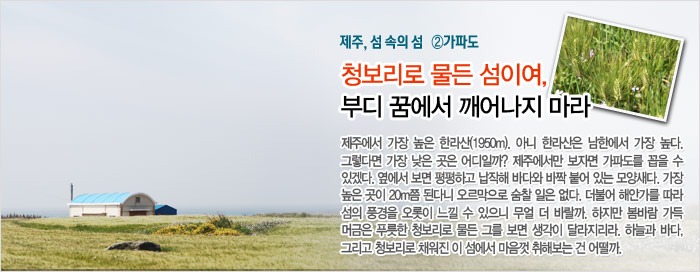 풍경이 있는 여행 ‘가파도’