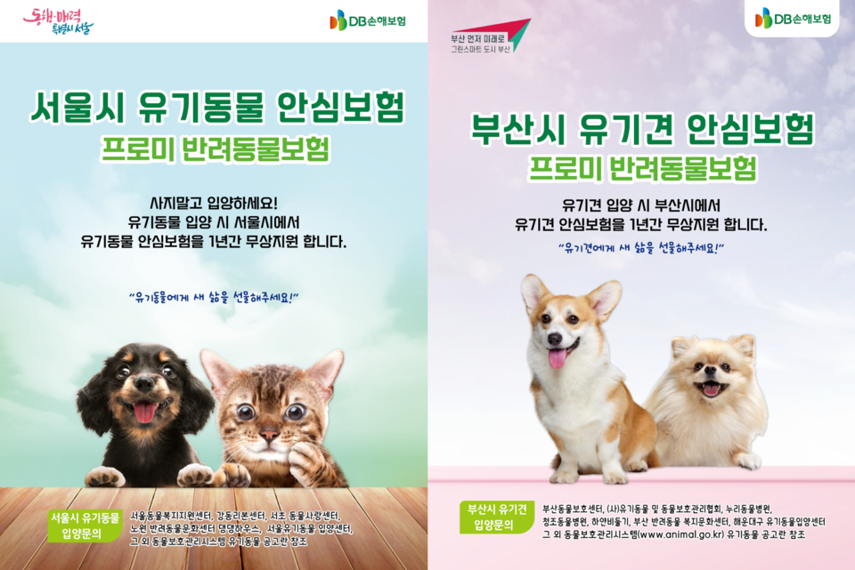 사진=DB손해보험