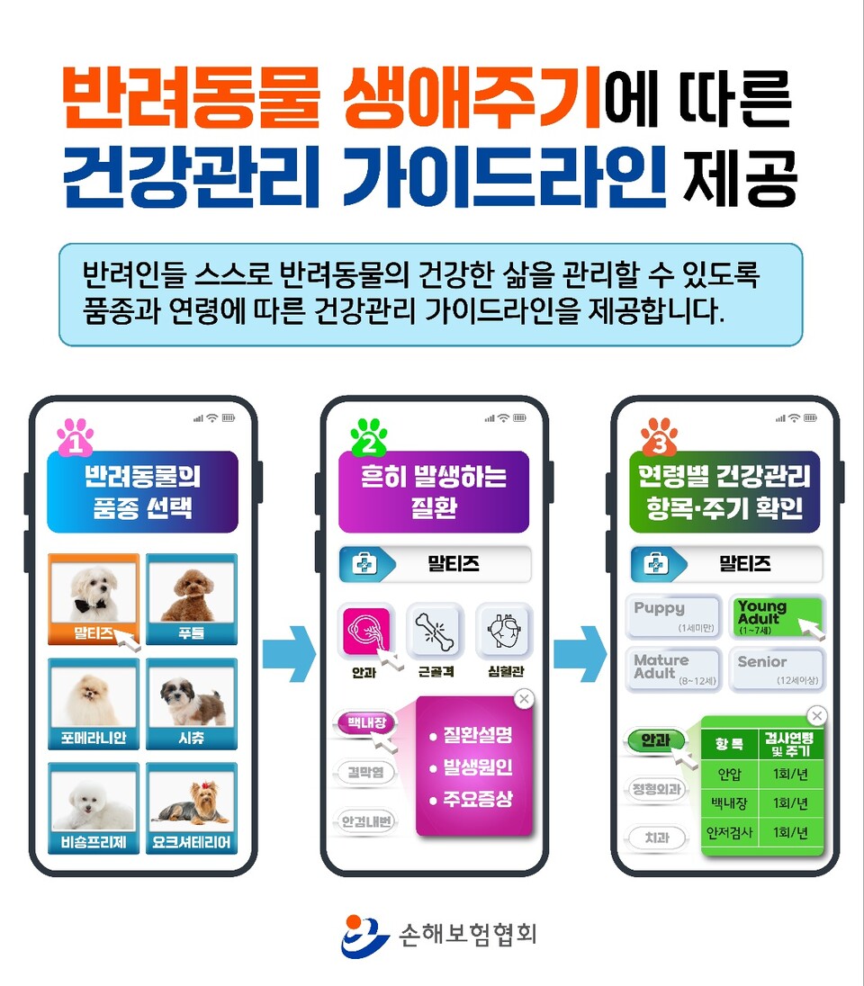 사진=손해보험협회