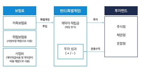 변액보험료의 흐름. 사진=생명보험협회