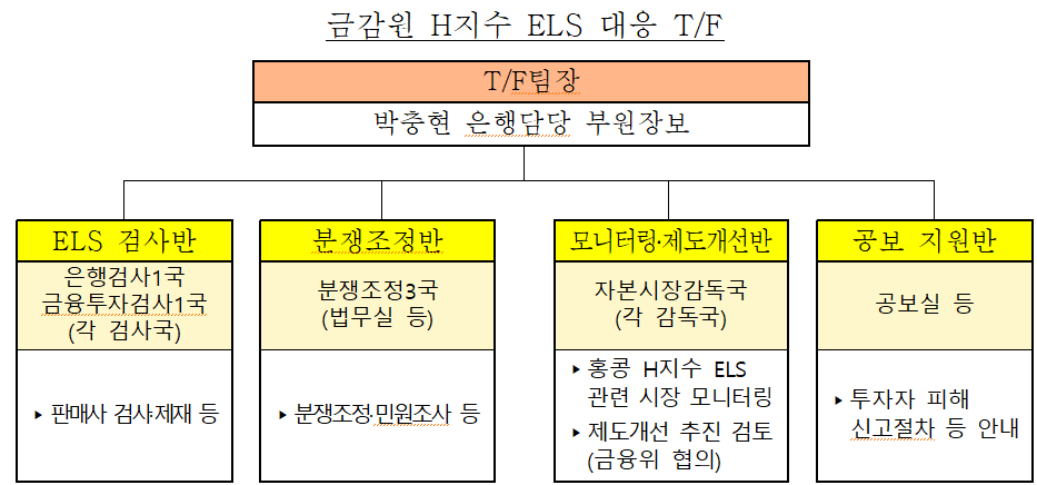 금감원 H지수 ELS 대응 TF. 자료=금융감독원