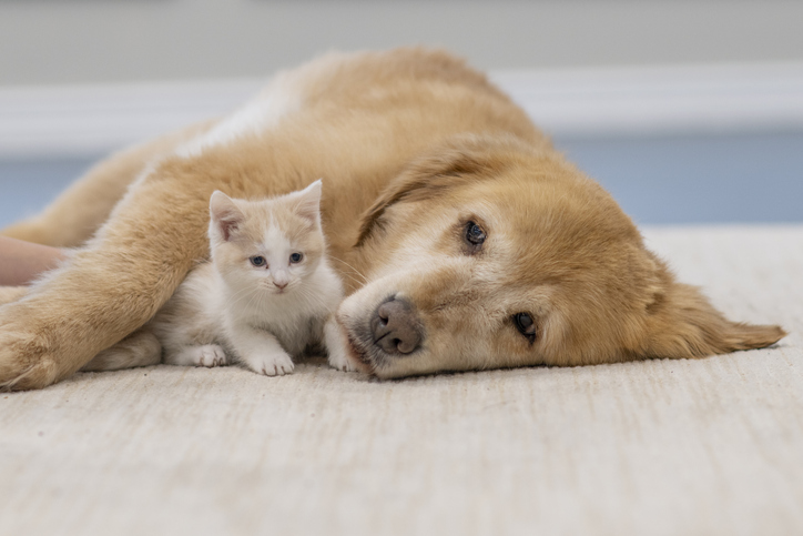 사진=게티이미지뱅크