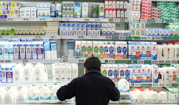 지난 12일 오후 서울 시내의 한 대형마트에서 직원이 우유를 정리하고 있다. 사진=연합뉴스.