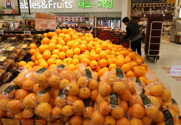서울의 한 대형마트에 수입 과일인 오렌지가 진열돼 있다. 사진=연합뉴스