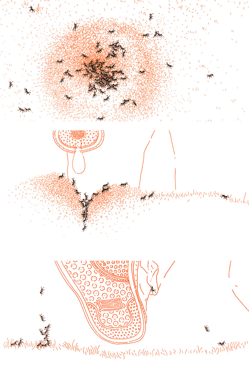 ‘이사가’ 속 장면. 작품의 배경은 햇살이 따뜻하게 비추는 한 평범한 마당이다. 이곳에 개미들이 하나둘 모여 대이동을 시작한다. 이 개미들을 관찰하는 아이의 시선에서 이야기가 출발한다. 사진=엔씨문화재단