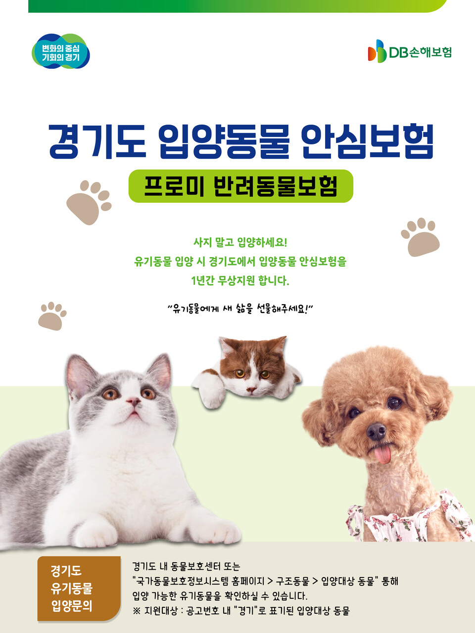 사진=DB손해보험