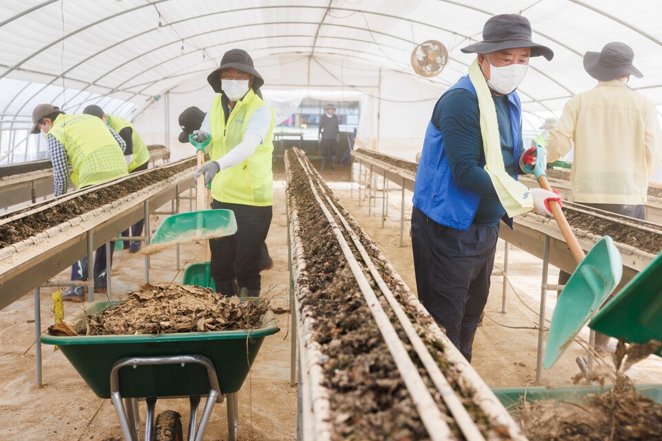 이석용 농협은행장(왼쪽)과 어기구 농해수위 위원장이 지난달 31일 충남 당진시 호우피해 농가를 방문해수해복구활동을 하고 있다. 사진=NH농협은행