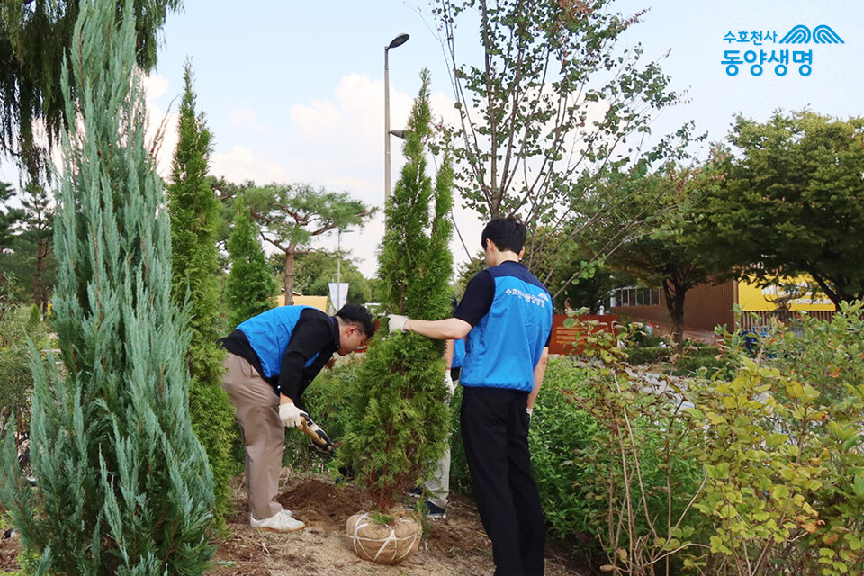 동양생명 임직원이 서울 광진구 뚝섬한강공원 ‘수호천사의 정원’에서 나무 심기를 하고 있다. 사진=동양생명
