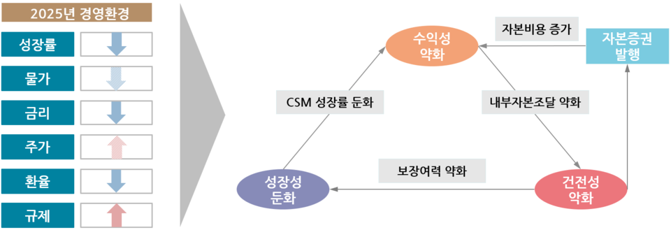 2025년 보험산업 전망. 자료=보험연구원