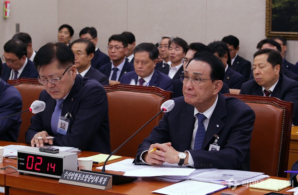 노동진 수협중앙회장이 14일 오전 국회 농해수위 국정감사에 참석해 국회의원 질의에 답변하고 있다. 사진=신수정 기자