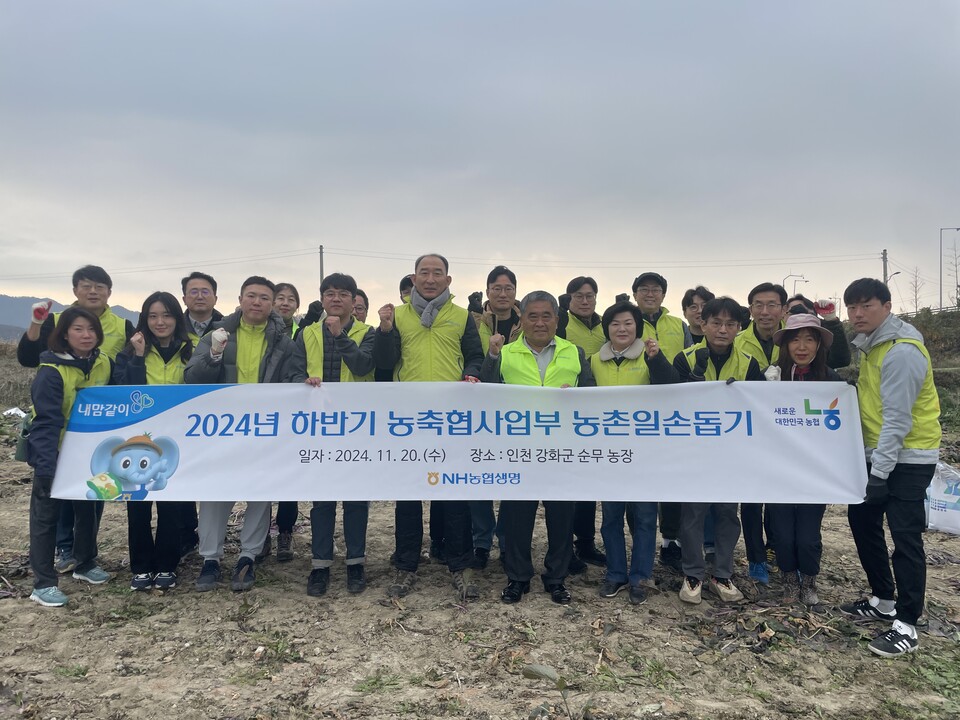 NH농협생명 농축협사업부문 임직원이 인천 강화군 농가를 찾아 부족한 일손을 도왔다. 사진=NH농협생명