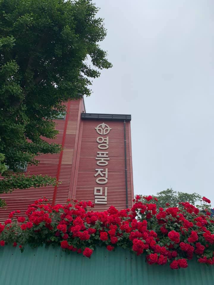 영풍정밀 펌프공장 전경. 사진=영풍정밀