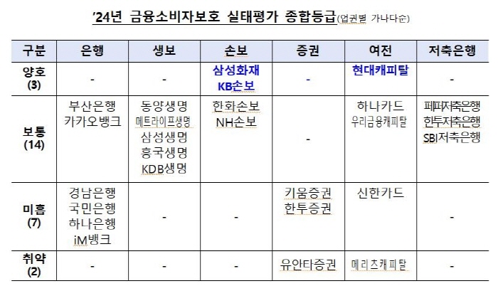 금융감독원, 2024년 금융소비자 보호 실태평과 결과. 사진=금융감독원