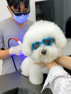 사진=라퓨클레르