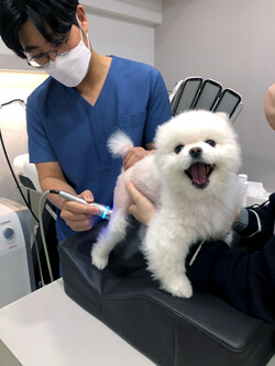 사진=라퓨클레르