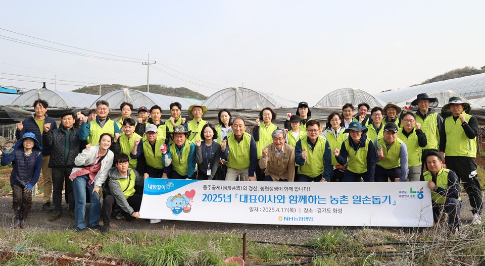 NH농협생명이 앞서 17일 경기도 화성시 서신농협 관내 포도농가를 찾아 2025년 농촌봉사활동을 실시했다. 사진=NH농협생명