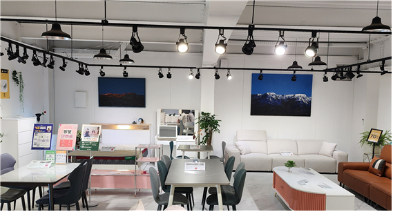 가구톡세상 일산점 매장에 걸린 미술 작품들. 사진=가구톡세상