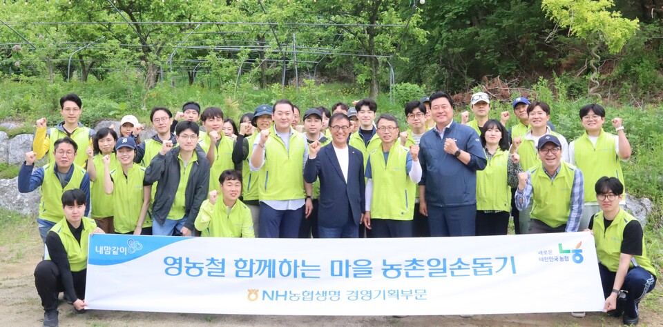 NH농협생명이 앞서 20일 경기 여주시 여주농협 관내 농가를 찾아 농촌일손돕기를 실시했다. 사진=NH농협생명