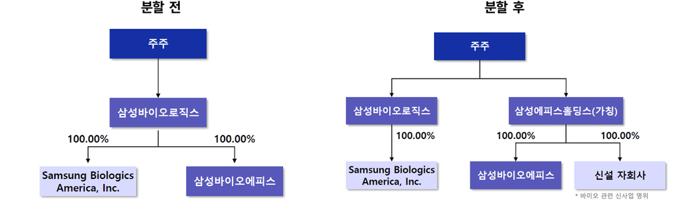 삼성바이오로직스의 분할 전 후 지배구조 변화. 출처=금융감독원 전자공시