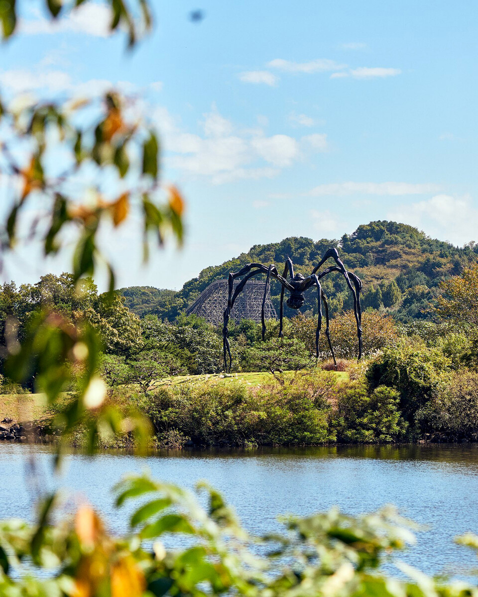 호암미술관 수변 공간에 자리 잡은 작가 루이즈 부르주아의 ‘마망’(1999). 원래는 리움미술관 정원에 있던 엄마 거미를 2021년 이곳에 새로 설치했다. 사진=삼성문화재단