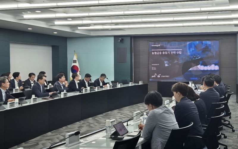 NH농협금융이 지난달 29일 농협금융지주 본사에서 이재호 부사장 주재로 농협금융 중장기 전략 수립을 위한 컨설팅 착수 보고회를 개최했다. 사진=NH농협금융