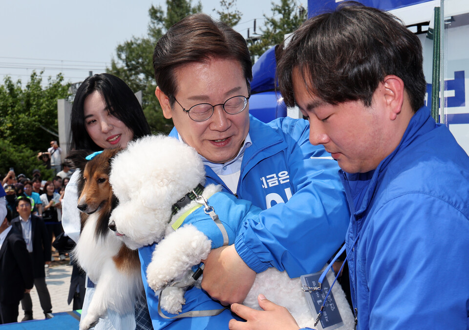 이재명 대통령 당선인이 열세 지역으로 분류되는 강원과 충북 지역의 표심 공략에 나선 30일 춘천시 춘천역광장에서 열린 집중유세에서 강원도에 사는 반려견 뭉치를 안고 있다. 사진=연합뉴스