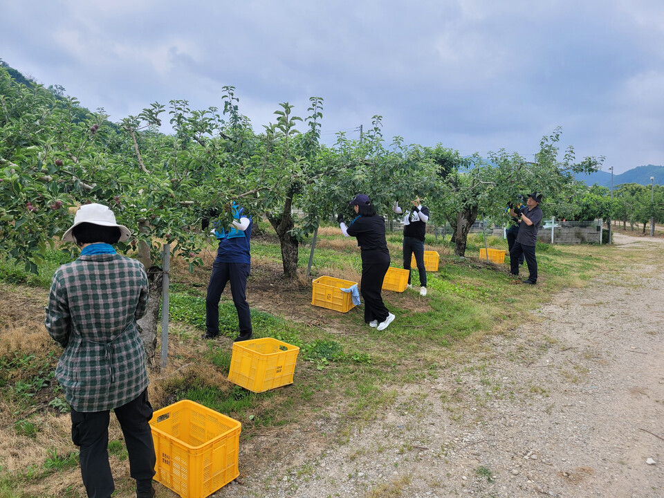 사진=NH농협은행