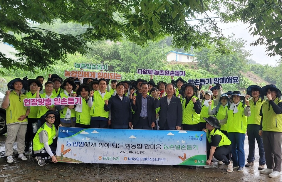 농협은행 여신심사부문과 동청주농협 임직원들이 26일 충북 청주시에 있는 복분자 농가를 찾아 일손을 도왔다. 사진=NH농협은행