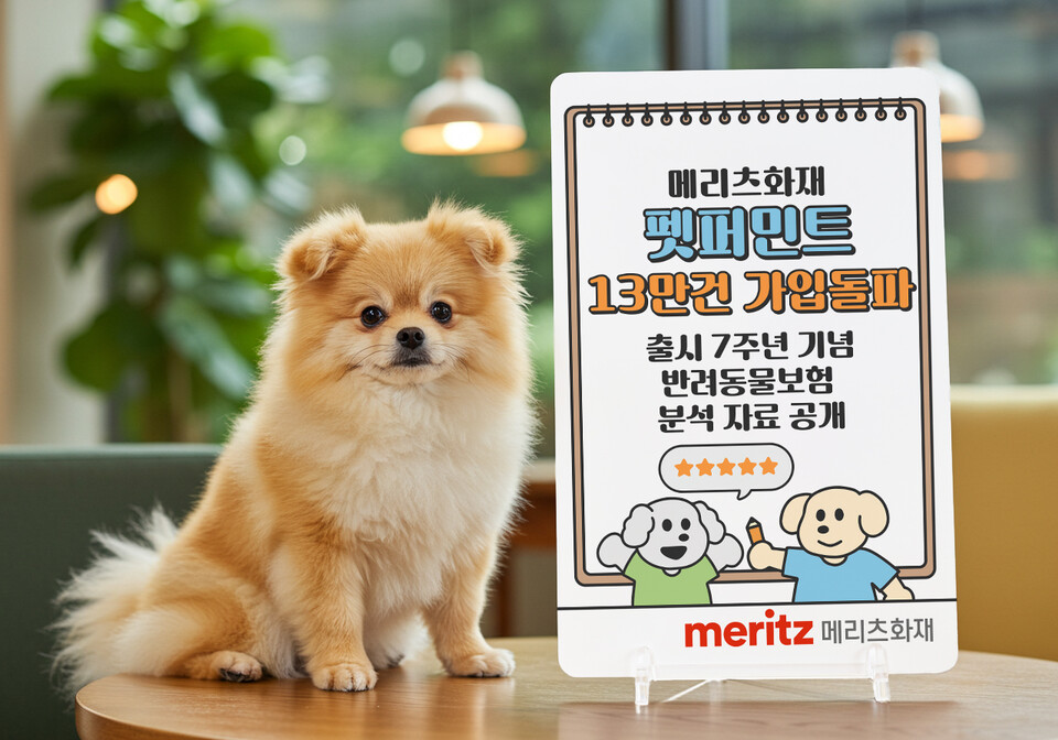 사진=메리츠화재