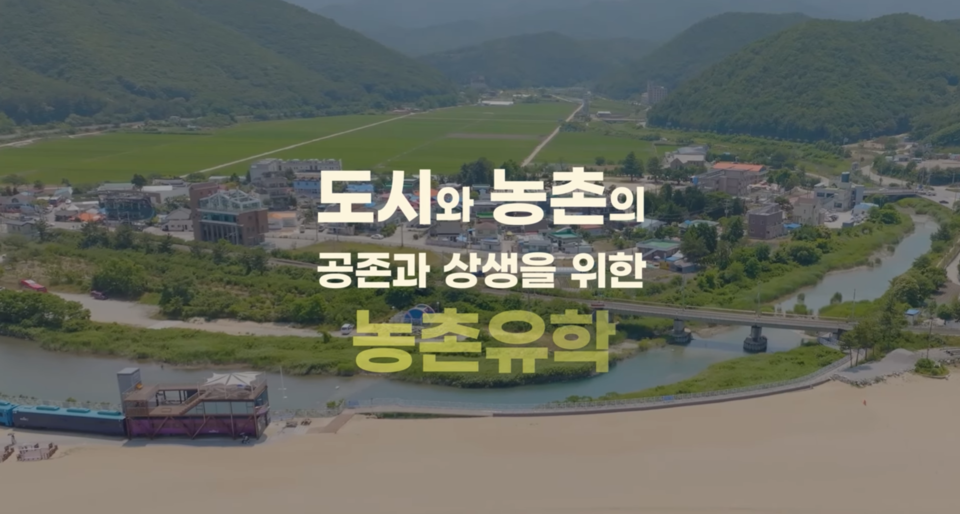 '서울 학생들이 농촌유학 갔다가 생긴 일' 영상 중 일부. 사진=서울시교육청 유튜브